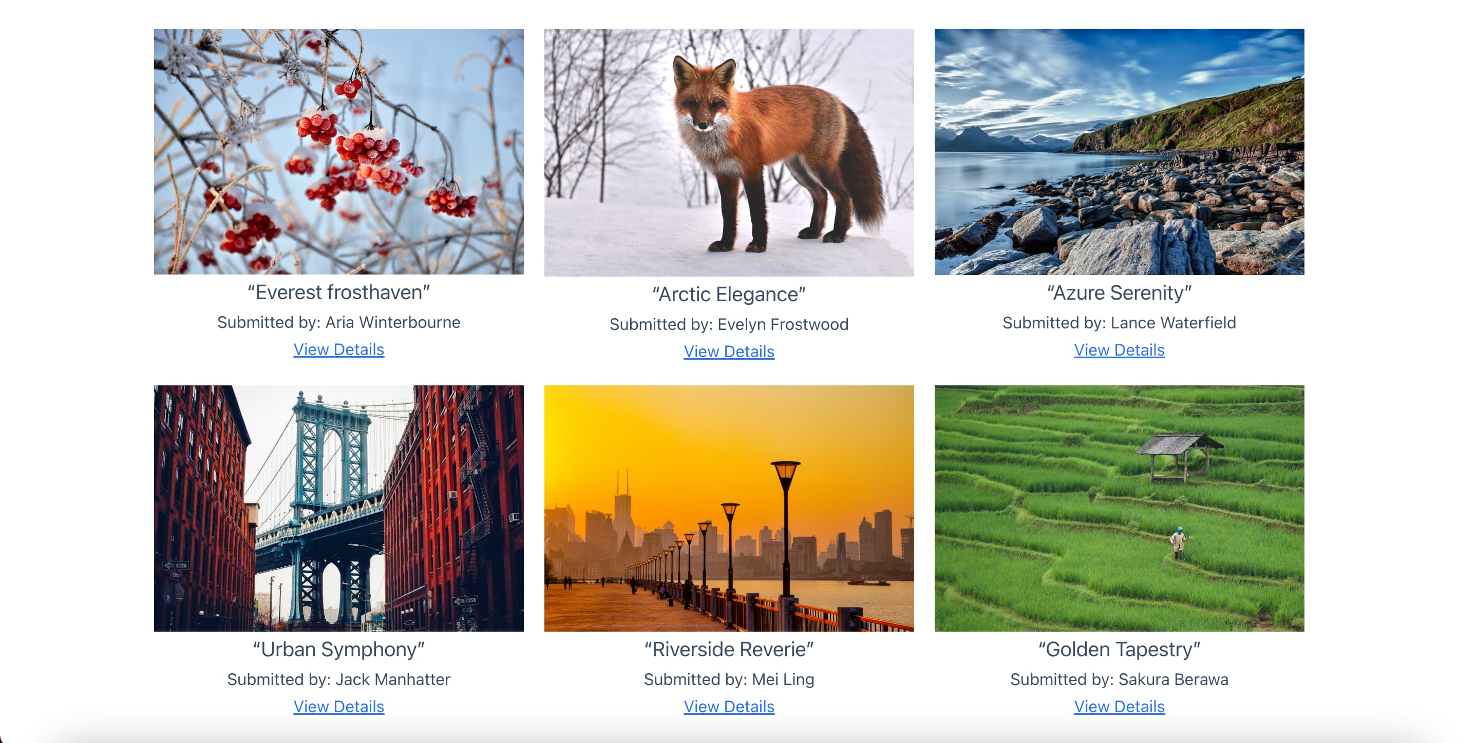 Photo+contest